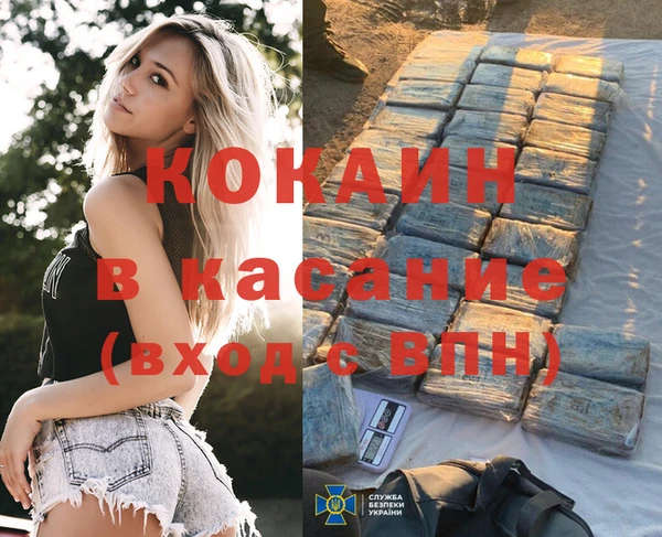 PSILOCYBIN Заволжск