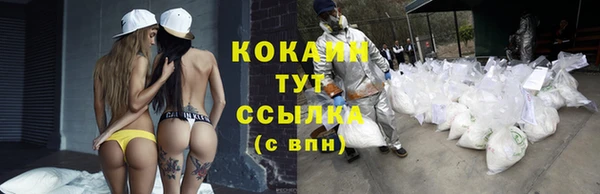 амф Заволжье
