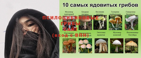 амф Заволжье