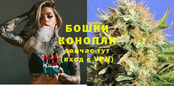 PSILOCYBIN Заволжск